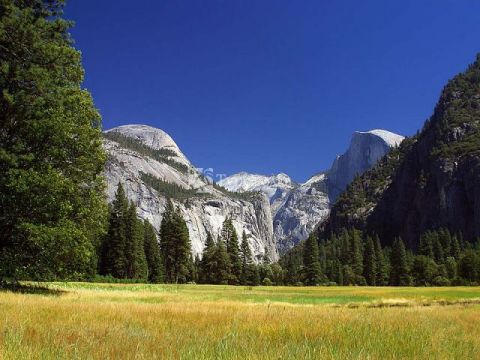 Национальный парк Йосемити. Автор: Jon Sullivan, commons.wikimedia.org