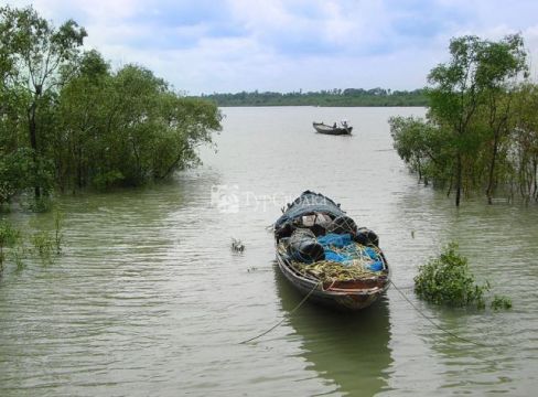 Национальный парк Сундарбан. Автор: Joydeep, wikimedia.org