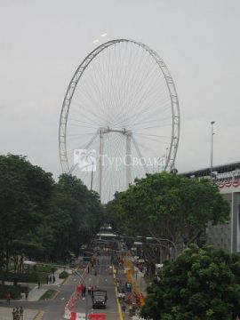 Сингапурское колесо обозрения. Автор: Sengkang, wikimedia.org
