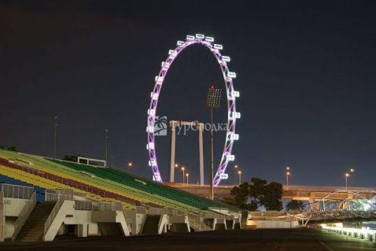 Сингапурское колесо обозрения. Автор: Merlion444, wikimedia.org