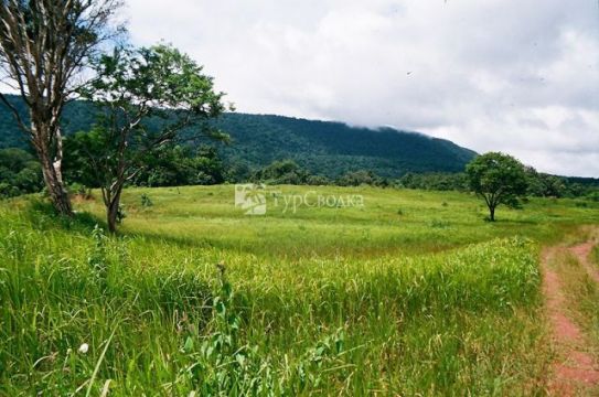 Национальный парк Кхауяй. Автор: Kawpodmd, wikimedia.org