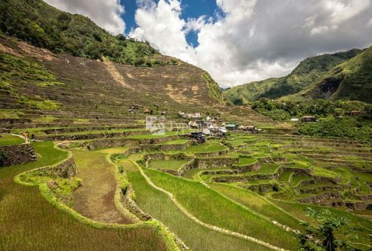 Рисовые террасы в Филиппинских Кордильерах. Автор: Adi.simionov, wikimedia.org
