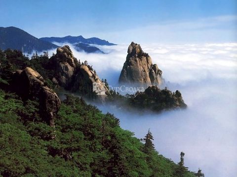 Восточно-корейские горы. Южная часть.