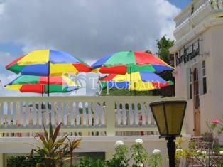 Palm Paradise Guest House And Apartment Saint James (Barbados) 4*