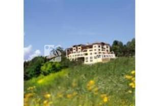 Hotel Alpenflora Kastelruth 4*