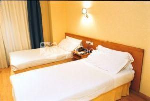 Hotel Cityexpress Covadonga 2*