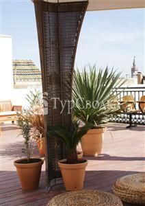 Oasis Backpackers' Palace Seville 1*