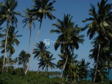 The Palms Zanzibar 5*