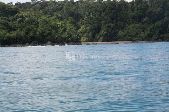 Национальный парк Корковадо. Автор: Velorian at wts wikivoyage, commons.wikimedia.org