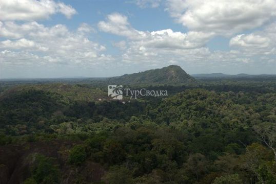 Природоохранная территория Центрального Суринама. Автор: David Evers, Flickr.com