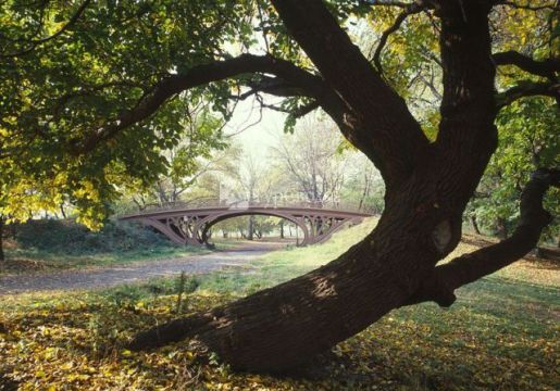 Центральный парк Нью-Йорка. Автор: Jet Lowe, commons.wikimedia.org
