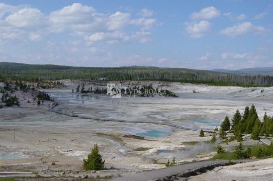 Национальный парк Йеллоустоун. Автор: Daniel Mayer, commons.wikimedia.org