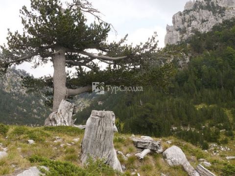 Северо-Албанские Альпы (Проклетие). Автор: Jirka Dl, commons.wikimedia.org