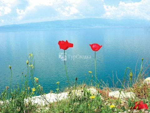 Oзеро Охрид. Автор: Elen Schurova, http://www.flickr.com/photos/28515337@N06/3757747457