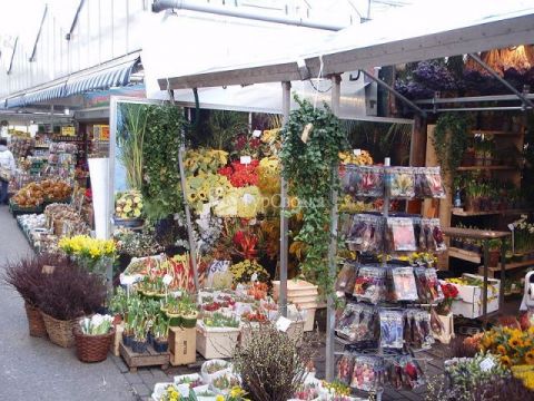 Амстердамский цветочный рынок. Автор: VirtualSteve, commons.wikimedia.org