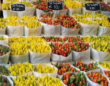 Амстердамский цветочный рынок. Автор: jimderda, http://www.flickr.com/photos/jim_derda/422731209/
