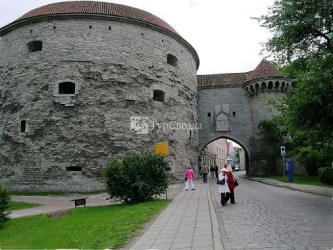 Башня «Толстая Маргарита». Автор: Hajotthu at de.wikipedia, commons.wikimedia.org