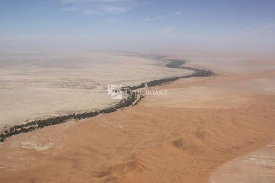 Пустыня Намиб. Автор: Laika ac, wikimedia.org