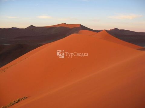 Пустыня Намиб. Автор: Teo G&#243;mez, wikimedia.org