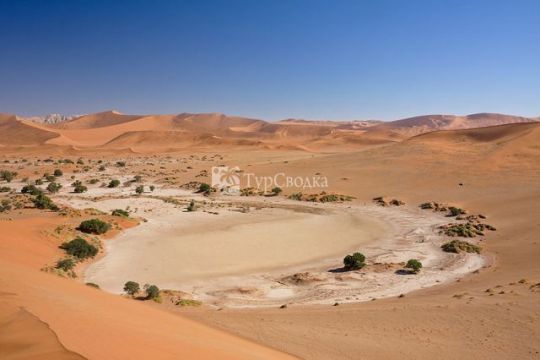 Пустыня Намиб. Автор: Ikiwaner, wikimedia.org