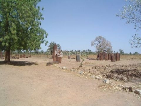 Кольца камней-мегалитов в Сенегамбии. Автор: Jolle, wikimedia.org