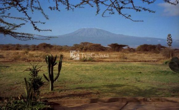 Гора Кения (национальный парк). Автор: Dan Lundberg, wikimedia.org
