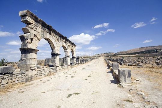 Археологические памятники Волюбилиса. Автор: wikimedia.org