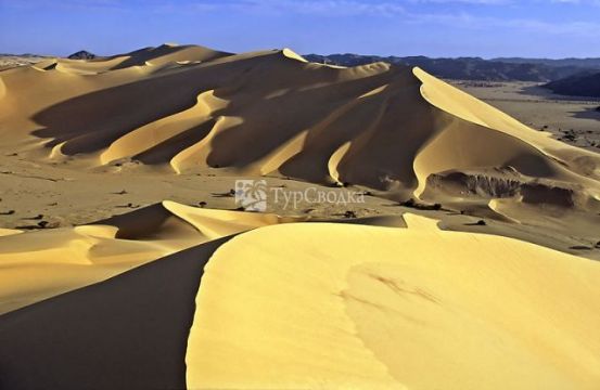 Пустыня Тенере. Автор: Jacques Taberlet, wikimedia.org