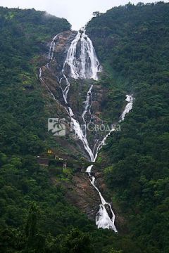 Водопад Дудхсагар. Автор: Purshi, wikimedia.org