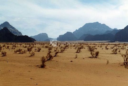 Пустыня Вади Рам (Лунная Долина). Автор: Stefan Volk, wikimedia.org