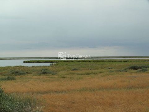 Сарыарка — Степи и озёра Северного Казахстана. Автор: Tomiris, wikimedia.org