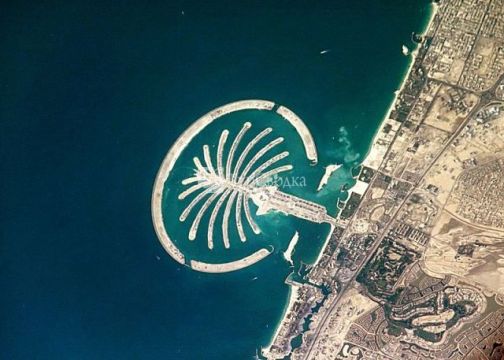 Искусственный остров Пальма Джумейра. Автор: NASA, wikimedia.org