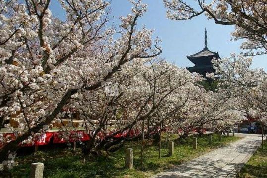 Храмовый комплекс Нинна-дзи. Автор: Kumamushi, wikimedia.org