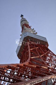 Токийская телевизионная башня. Автор: ReeveJ, wikimedia.org