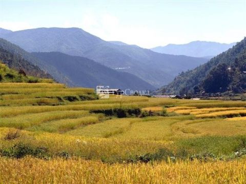 Природа Бутана