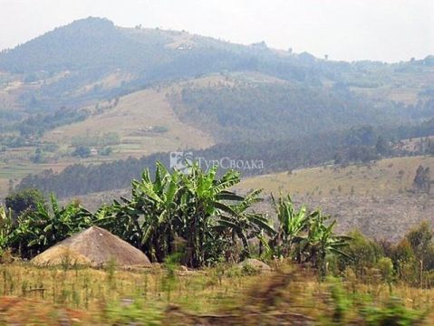 Ландшафт Бурунди.