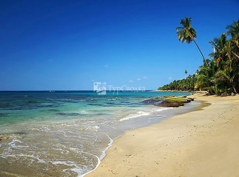 Карибское побережье к югу от Пуэрто-Вьехо.