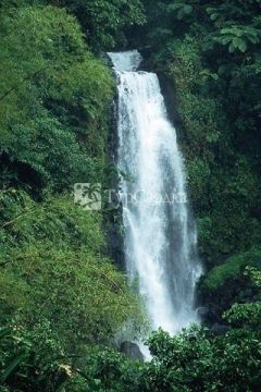 Трафальгарский водопад (Trafalgar Falls) - мать.