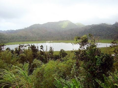 Озеро Гранд Этанг, расположенное в кратере потухшего вулкана посреди тропических джунглей.