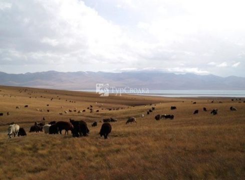 Побережье озера Иссык-Куль.