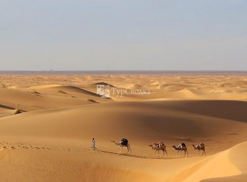 Пустыня Сахара.