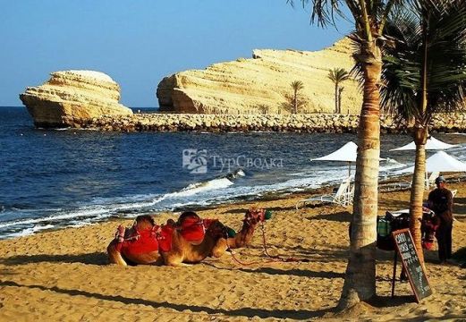 Пляж в г. Маскат.