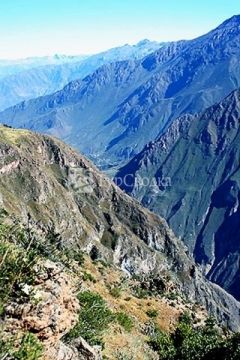 Каньон Colca.