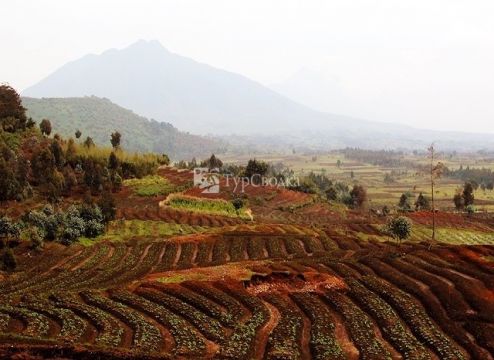 Окресности  вулкана Карисимби.