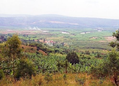 Река Ньябаронго и ее побережье.