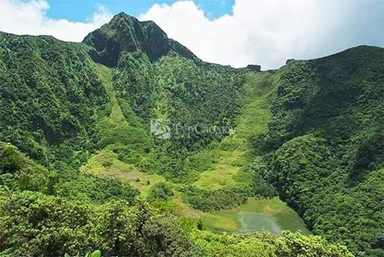 Заросший кратер вулкана Маунт-Лиамуйга (Mount Liamuiga), расположенный на острове Сен-Кит.