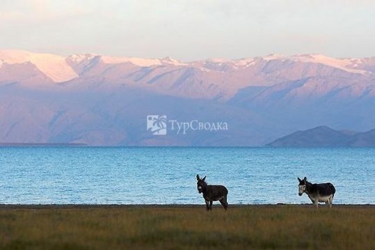 Озеро Каракуль.