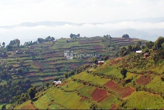 Сельскохозяйственные террасы в районе Кабале.
