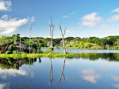 Парк Качамай.