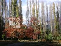 Galileo Boutique Apart Hotel San Carlos de Bariloche 4*